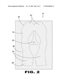 Ski Cover for a Snowmobile Ski diagram and image