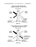 WINDOWS WITH ELECTRICALLY CONTROLLABLE TRANSMISSION AND REFLECTION diagram and image