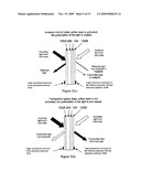 WINDOWS WITH ELECTRICALLY CONTROLLABLE TRANSMISSION AND REFLECTION diagram and image