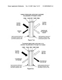 WINDOWS WITH ELECTRICALLY CONTROLLABLE TRANSMISSION AND REFLECTION diagram and image