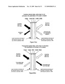 WINDOWS WITH ELECTRICALLY CONTROLLABLE TRANSMISSION AND REFLECTION diagram and image