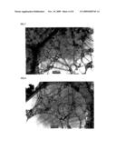 Method for Production of Carbon Nanotube and Method for Purification of the Same diagram and image