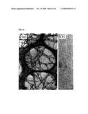 Method for Production of Carbon Nanotube and Method for Purification of the Same diagram and image