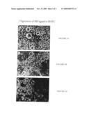 Novel haptotactic peptides diagram and image