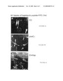 Novel haptotactic peptides diagram and image