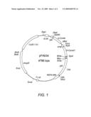 Antibody Antagonists of Interleukin-13 Receptor Alpha1 diagram and image