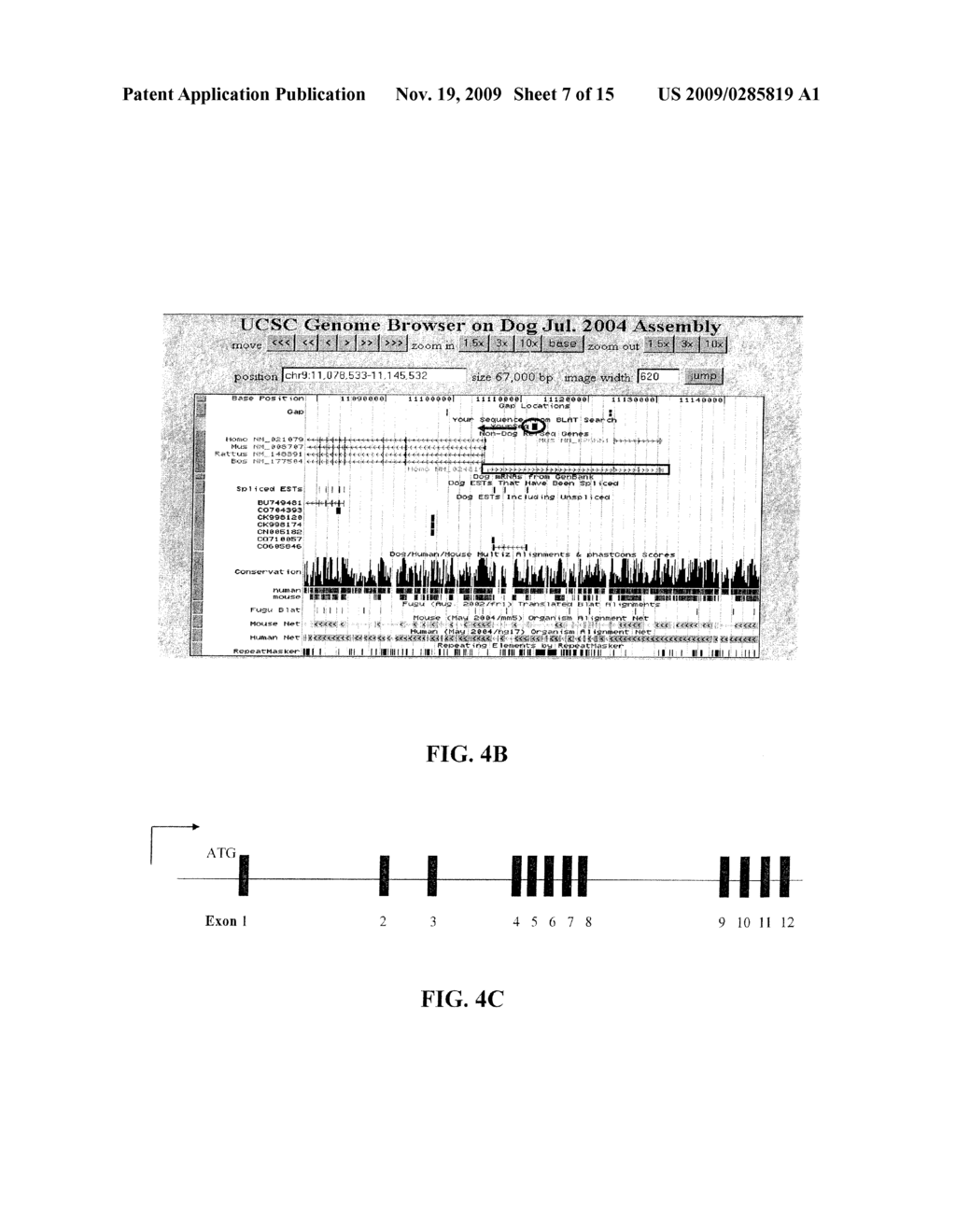 METHODS AND COMPOSITIONS FOR TREATING INFLUENZA - diagram, schematic, and image 08