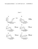 Compositions and methods relating to anti IGF-1 receptor antibodies diagram and image