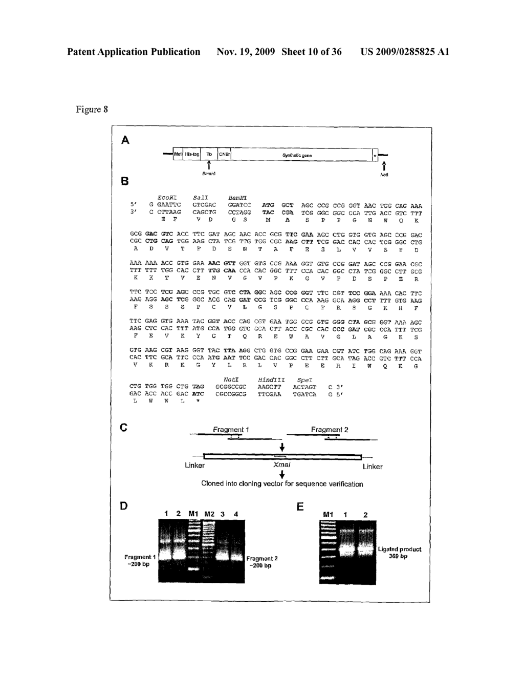 NOVEL SNAKE TOXIN - diagram, schematic, and image 11