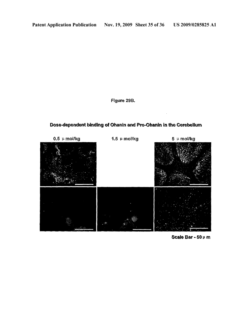 NOVEL SNAKE TOXIN - diagram, schematic, and image 36