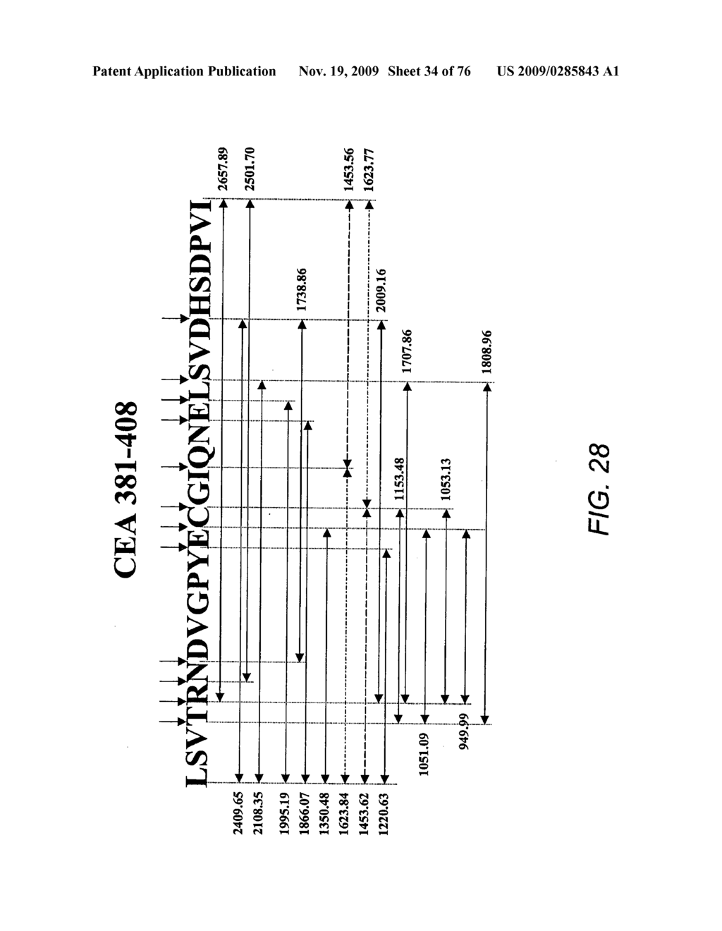 EPITOPE SEQUENCES - diagram, schematic, and image 35