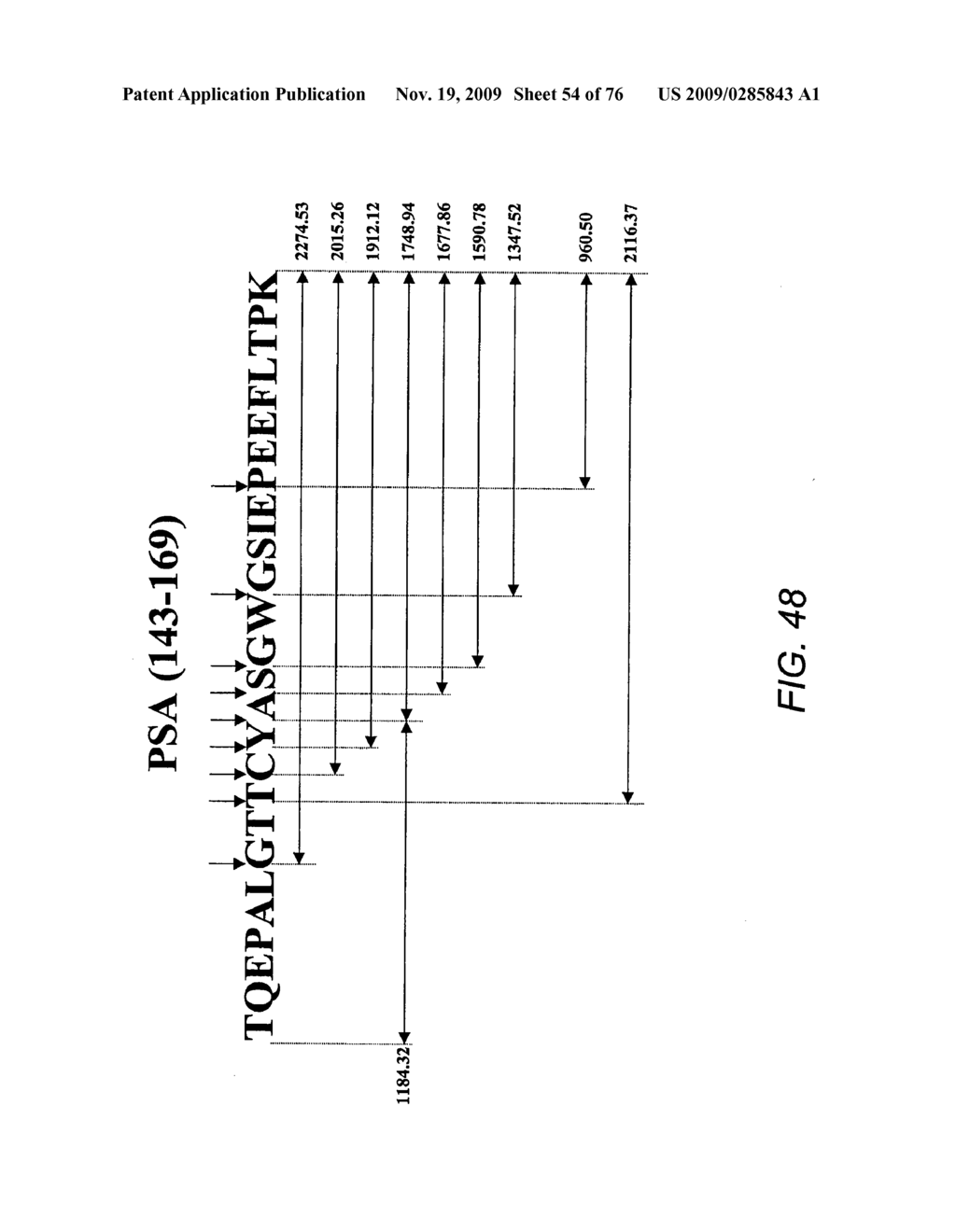 EPITOPE SEQUENCES - diagram, schematic, and image 55