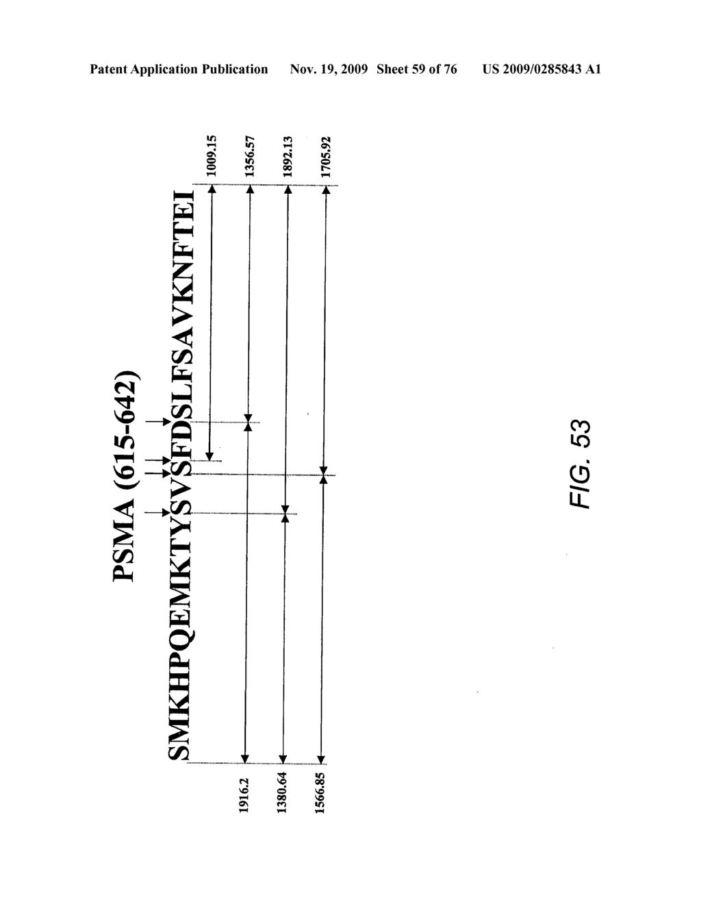 EPITOPE SEQUENCES - diagram, schematic, and image 60