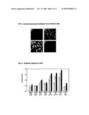 RECOMBINANT VACCINE AGAINST JAPANESE ENCEPHALITIS VIRUS (JEV) INFECTION AND A METHOD THEREOF diagram and image