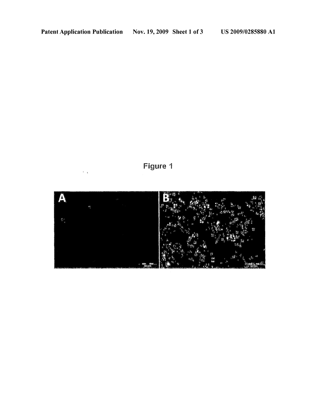 DRIED RECONSTITUTED VESICLE FORMATION FOR PHARMACEUTICAL APPLICATION - diagram, schematic, and image 02