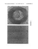 Method of forming a drug nanocarrier having a magnetic shell diagram and image