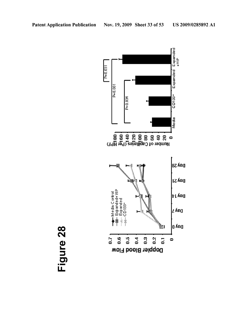 METHODS AND SYSTEMS FOR EXPANDING AC133+ CELLS AND DIRECTING DIFFERENTIATION - diagram, schematic, and image 34