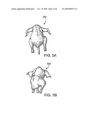 VALUE WHOLE POULTRY PRODUCT AND METHOD FOR MANUFACTURE diagram and image