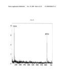 Method for Diagnosing Diabetic Retinopathy by Single Nucleotide Polymorphism, DNA Fragment Thereof, and Primer Thereof diagram and image