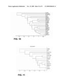 BIOMARKERS OVEREXPRESSED IN PROSTATE CANCER diagram and image