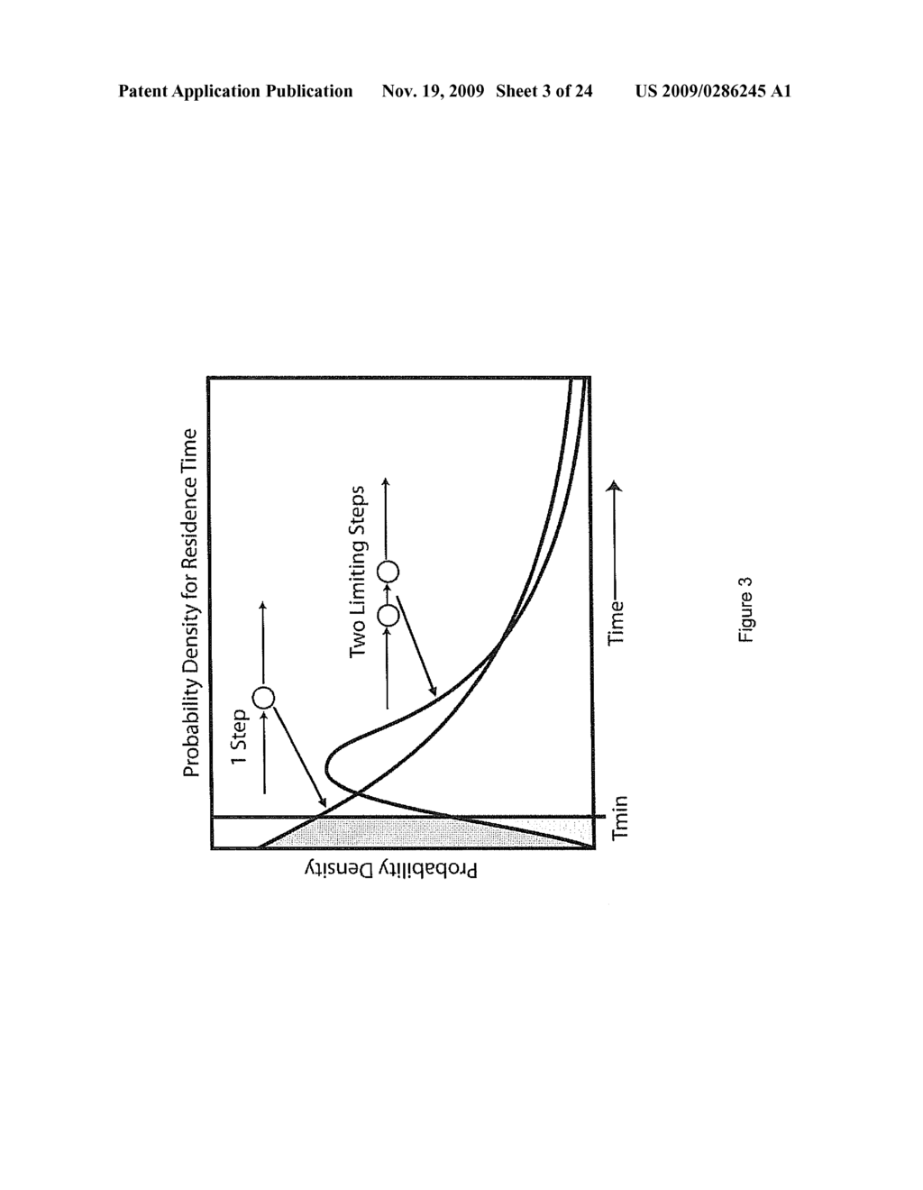 TWO SLOW-STEP POLYMERASE ENZYME SYSTEMS AND METHODS - diagram, schematic, and image 04