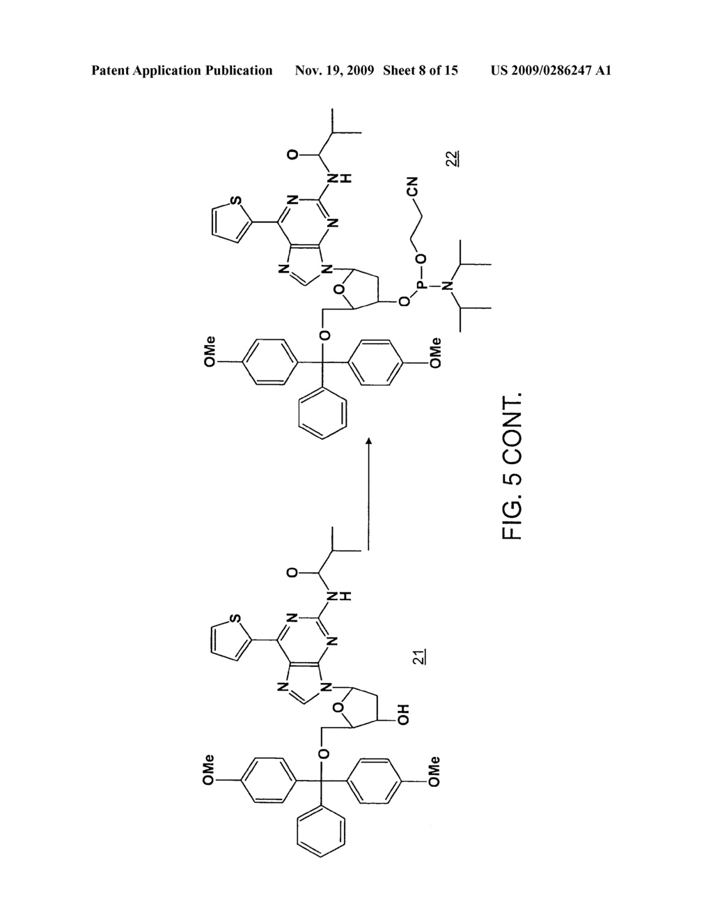 Novel nucleic acid base pair - diagram, schematic, and image 09