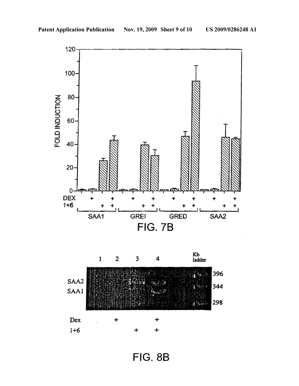 Methods for Determining Drug Responsiveness - diagram, schematic, and image 10