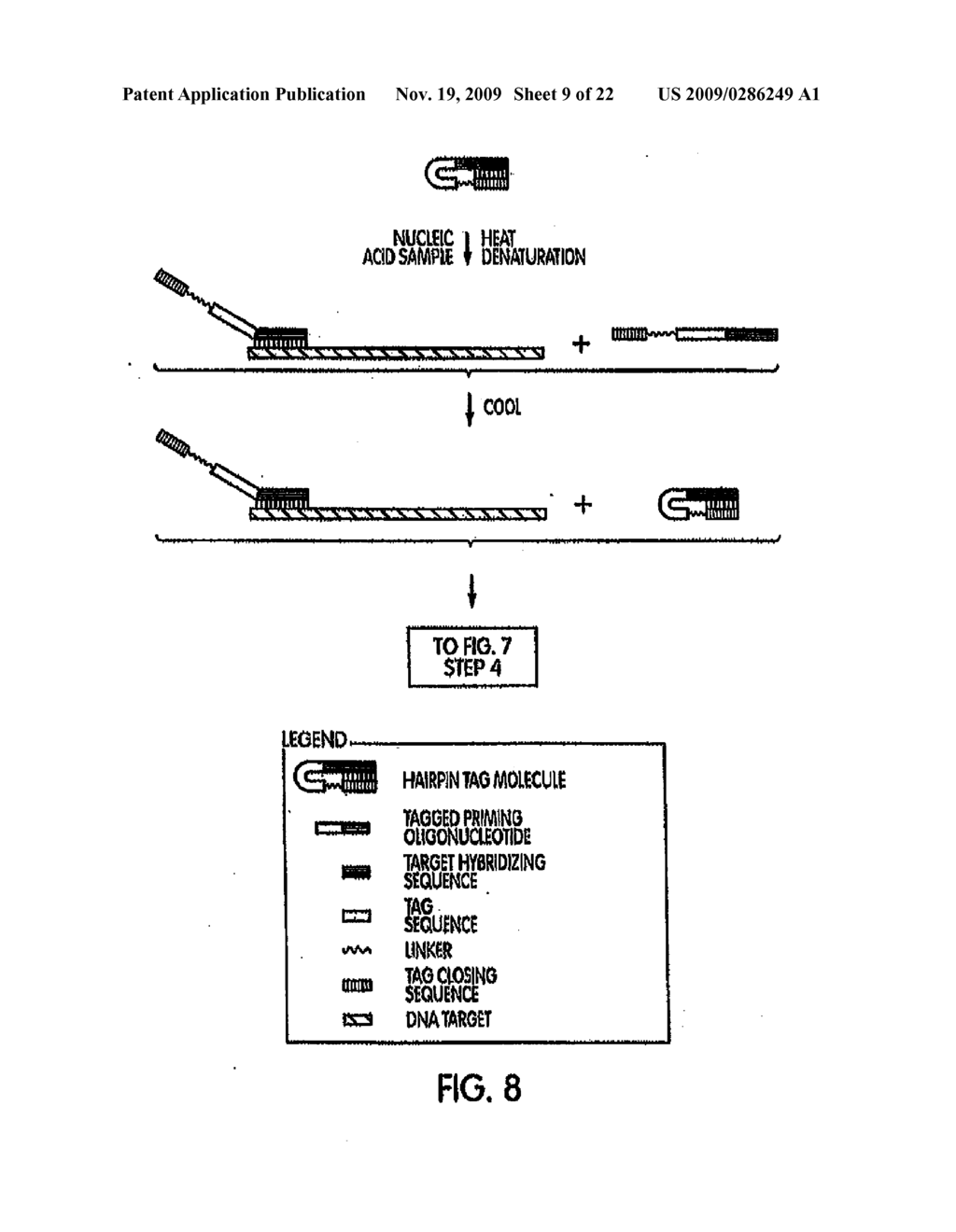 INACTIVATABLE TARGET CAPTURE OLIGOMERS FOR USE IN THE SELECTIVE HYBRIDIZATION AND CAPTURE OF TARGET NUCLEIC ACID SEQUENCES - diagram, schematic, and image 10