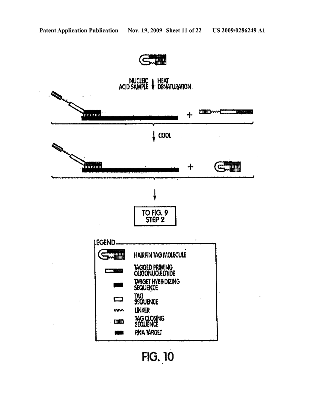 INACTIVATABLE TARGET CAPTURE OLIGOMERS FOR USE IN THE SELECTIVE HYBRIDIZATION AND CAPTURE OF TARGET NUCLEIC ACID SEQUENCES - diagram, schematic, and image 12