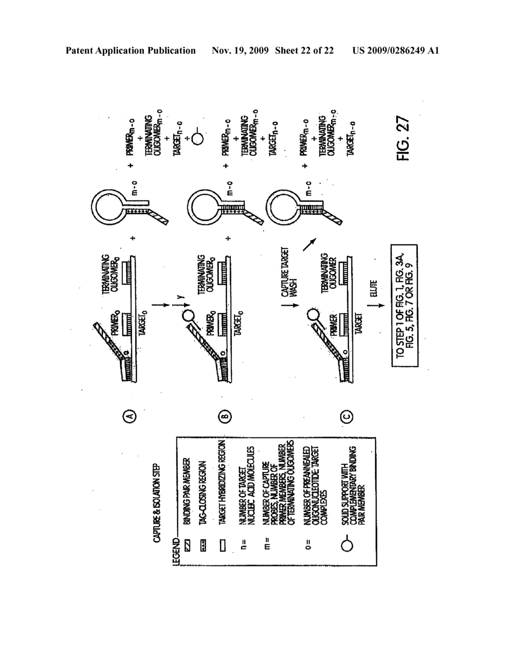 INACTIVATABLE TARGET CAPTURE OLIGOMERS FOR USE IN THE SELECTIVE HYBRIDIZATION AND CAPTURE OF TARGET NUCLEIC ACID SEQUENCES - diagram, schematic, and image 23