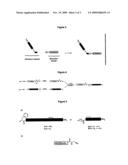 SCREENING METHOD FOR GPCR LIGANDS diagram and image