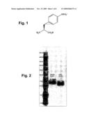 Genetically programmed expression of selectively sulfated proteins in eubacteria diagram and image