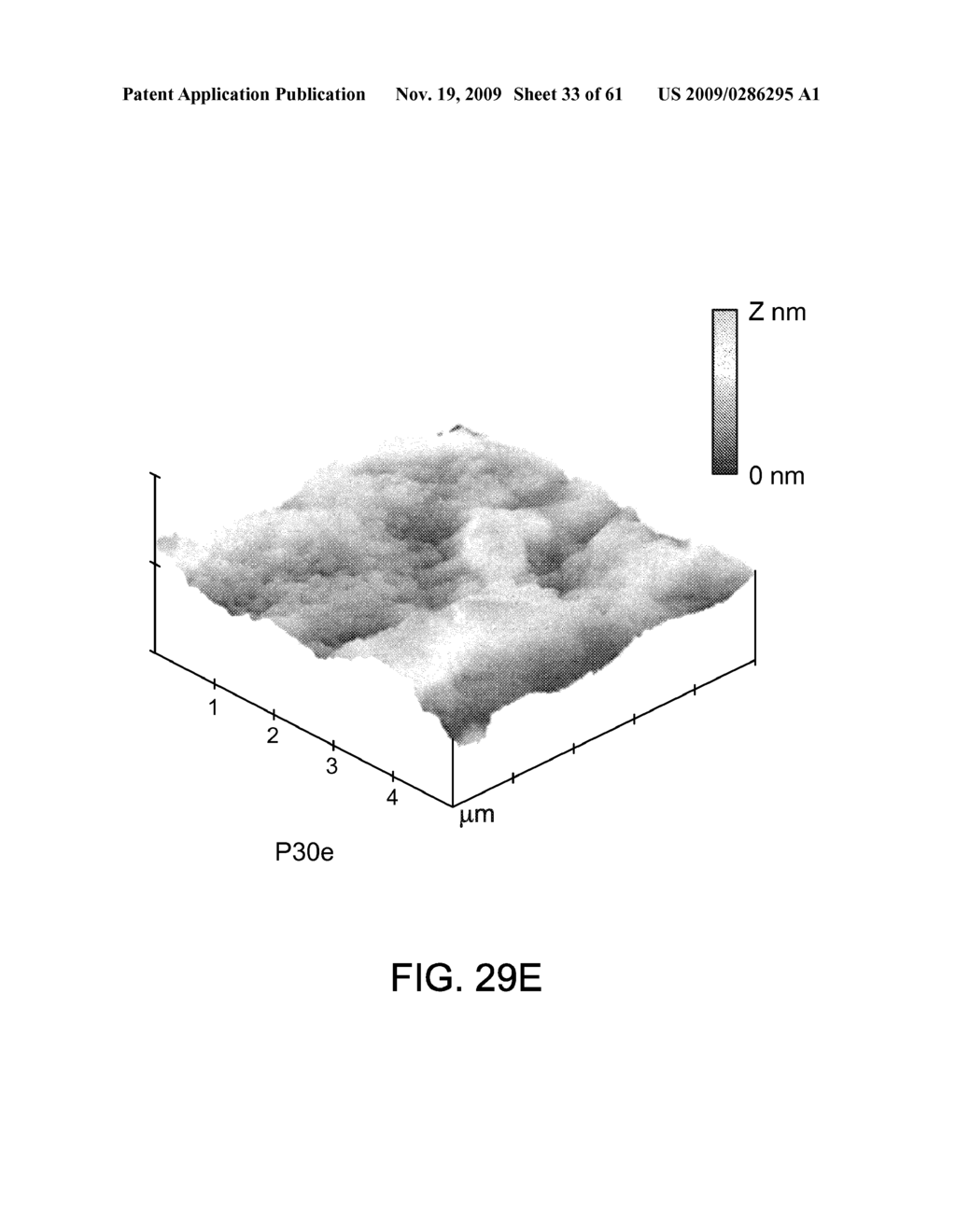 PROCESSING BIOMASS - diagram, schematic, and image 34