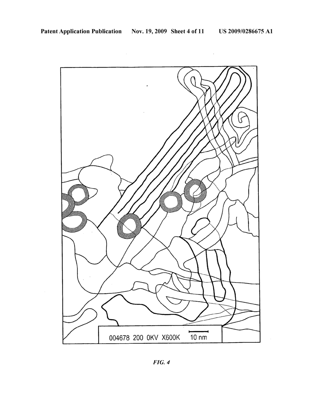 CONTINUOUS MASS PRODUCTION OF CARBON NANOTUBES IN A NANO-AGGLOMERATE FLUIDIZED-BED AND THE REACTOR - diagram, schematic, and image 05