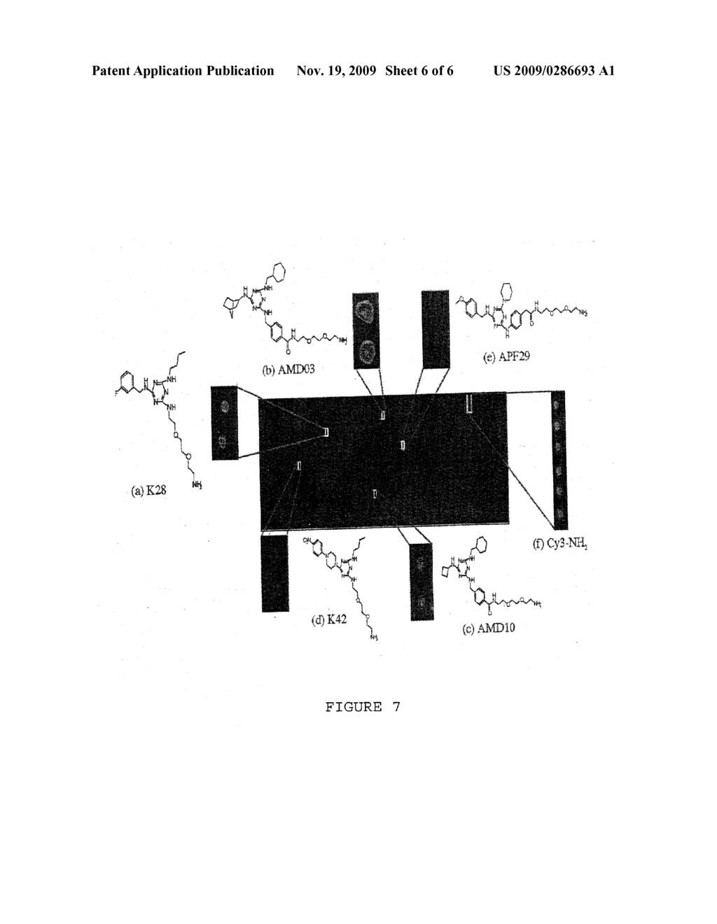 MICROARRAYS OF TAGGED COMBINATORIAL TRIAZINE LIBRARIES - diagram, schematic, and image 07