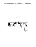 PHARMACEUTICAL COMPOSITION FOR THE DIAGNOSIS, PREVENTION OR TREATMENT OF A TUMORAL PATHOLOGY COMPRISING AN AGENT MODULATING THE POLYMERIZATION STATE OF ACTIN diagram and image