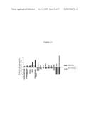 PHARMACEUTICAL COMPOSITION FOR THE DIAGNOSIS, PREVENTION OR TREATMENT OF A TUMORAL PATHOLOGY COMPRISING AN AGENT MODULATING THE POLYMERIZATION STATE OF ACTIN diagram and image