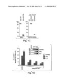 ANTI-INFLAMMATORY COMPOUNDS AND USES THEREOF diagram and image