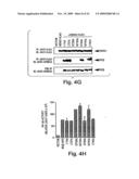 ANTI-INFLAMMATORY COMPOUNDS AND USES THEREOF diagram and image