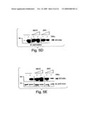 ANTI-INFLAMMATORY COMPOUNDS AND USES THEREOF diagram and image