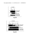 ANTI-INFLAMMATORY COMPOUNDS AND USES THEREOF diagram and image