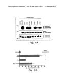 ANTI-INFLAMMATORY COMPOUNDS AND USES THEREOF diagram and image