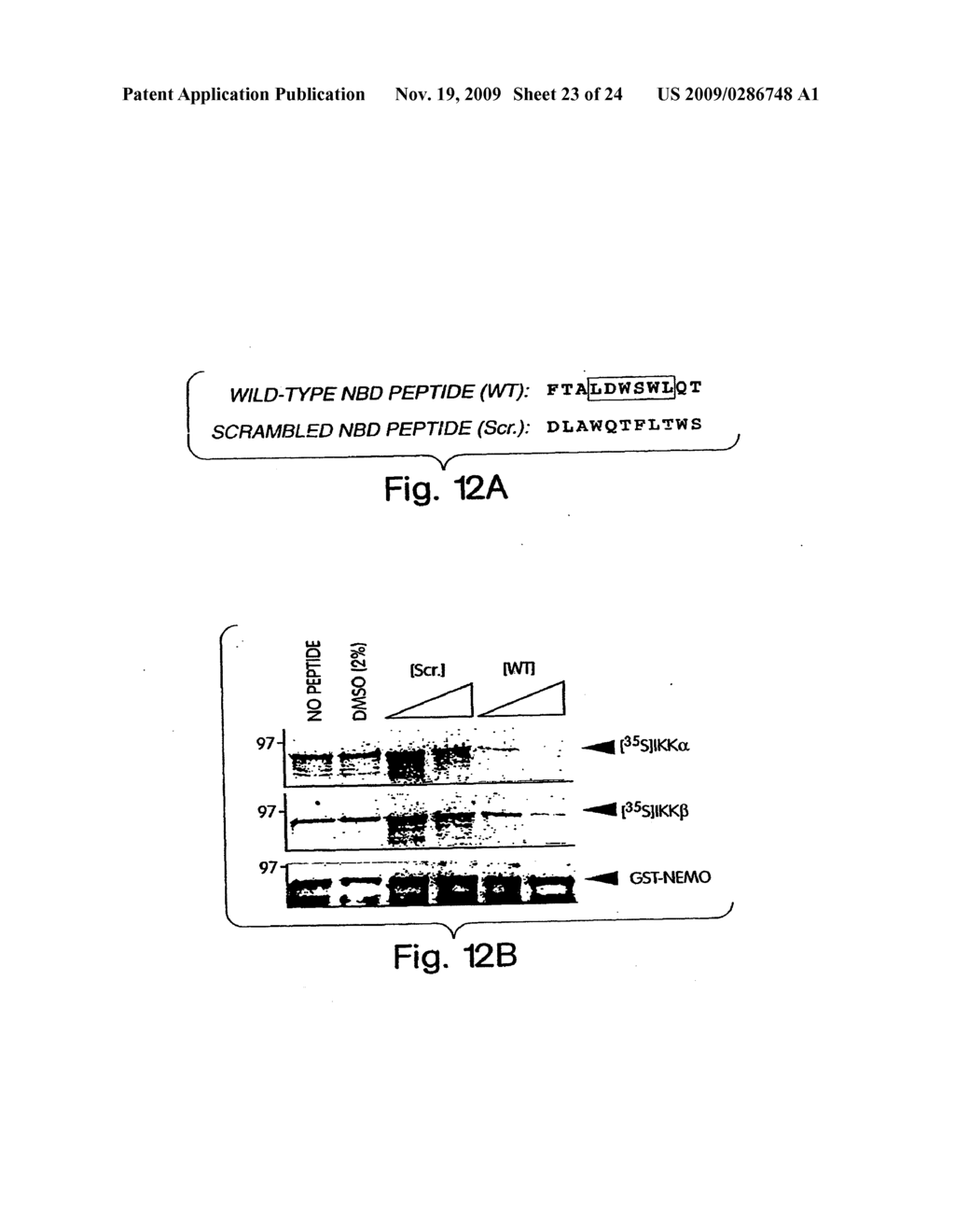 ANTI-INFLAMMATORY COMPOUNDS AND USES THEREOF - diagram, schematic, and image 24