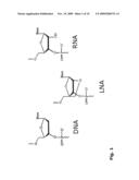 NOVEL OLIGONUCLEOTIDE COMPOSITIONS AND PROBE SEQUENCES USEFUL FOR DETECTION AND ANALYSIS OF MICRORNAS AND THEIR TARGET MRNAS diagram and image