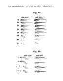 NOVEL OLIGONUCLEOTIDE COMPOSITIONS AND PROBE SEQUENCES USEFUL FOR DETECTION AND ANALYSIS OF MICRORNAS AND THEIR TARGET MRNAS diagram and image