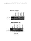 POTENT LNA OLIGONUCLEOTIDES FOR THE INHIBITION OF HIF-1a EXPRESSION diagram and image