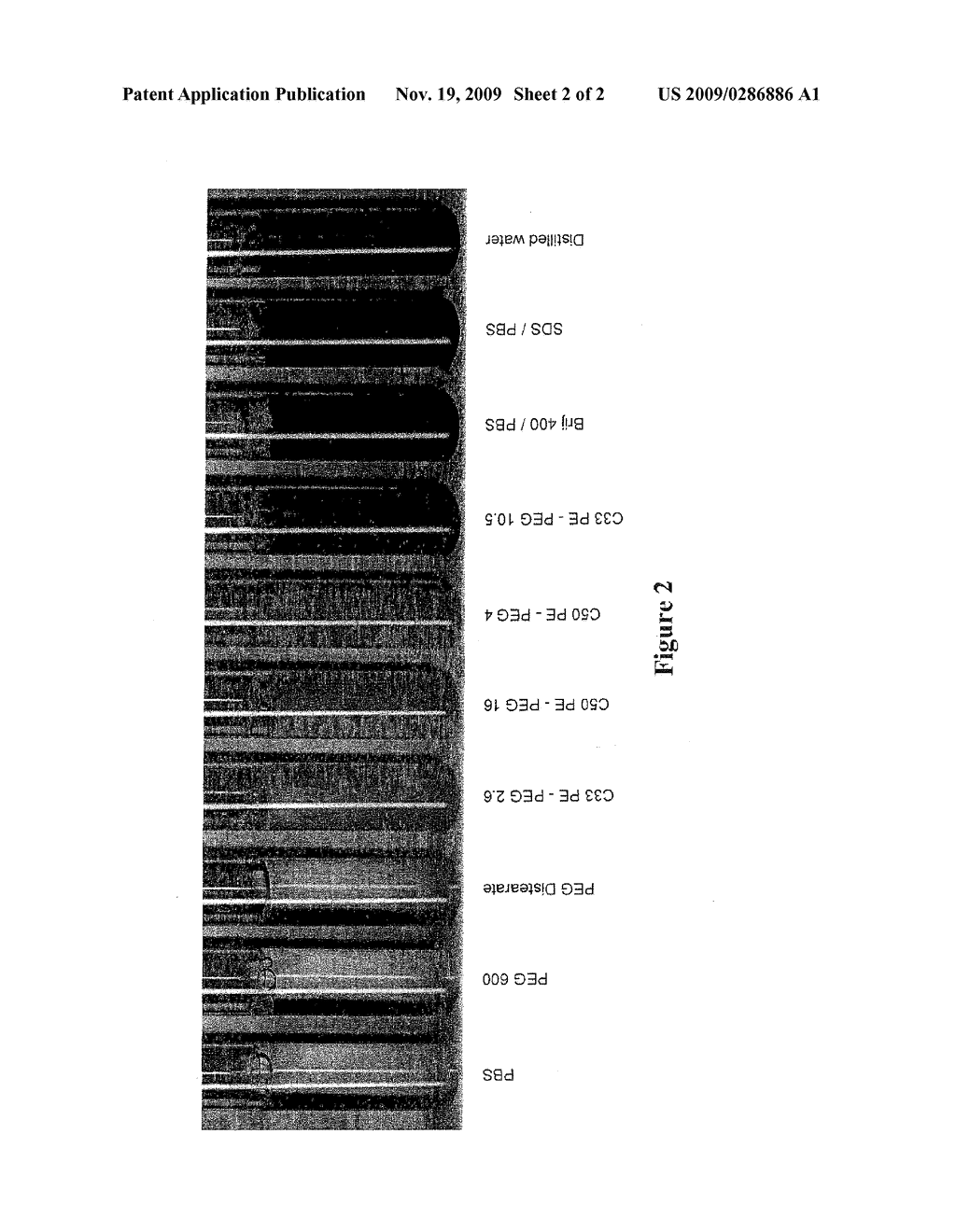 RESORBABLE POLYMER COMPOSITIONS FOR USE IN MEDICINE, DENTISTRY, AND SURGERY - diagram, schematic, and image 03