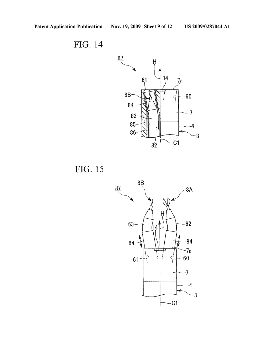 ENDOSCOPIC APPARATUS - diagram, schematic, and image 10