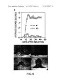 SGRF GENE-MODIFIED MOUSE diagram and image