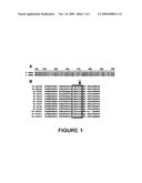 GENETIC SYSTEM FOR CONTROLLING THE FLORAL DEVELOPMENT OF A DICOTYLEDON PLANT, AND IMPLEMENTATION IN DETECTION AND SELECTION PROCESSES diagram and image